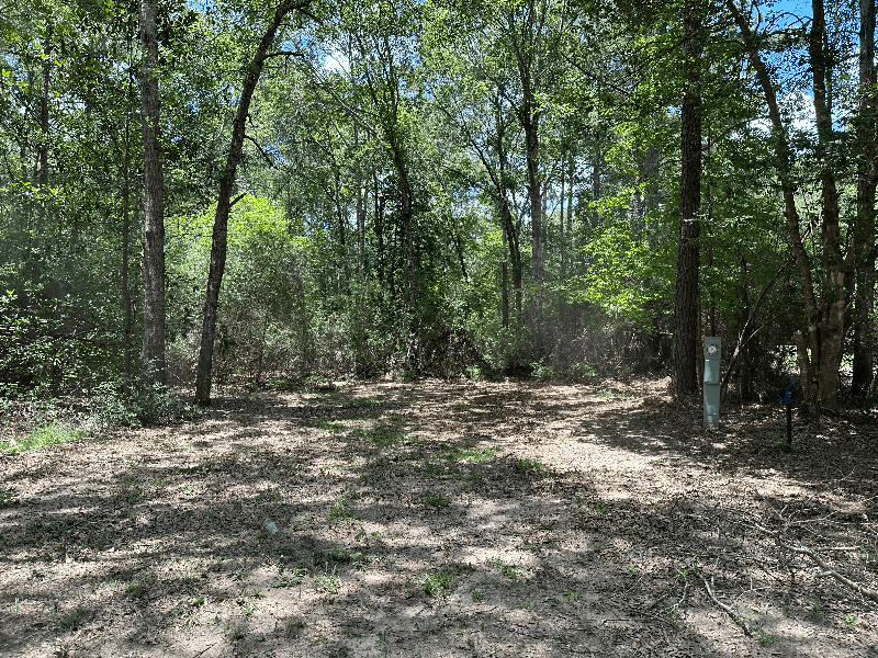 Zavalla Other: 310 Cotten Ln