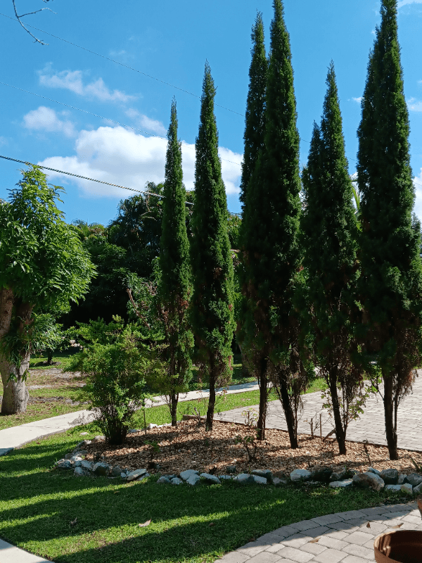 Port Saint Lucie House: 1257 SE Airoso Blvd