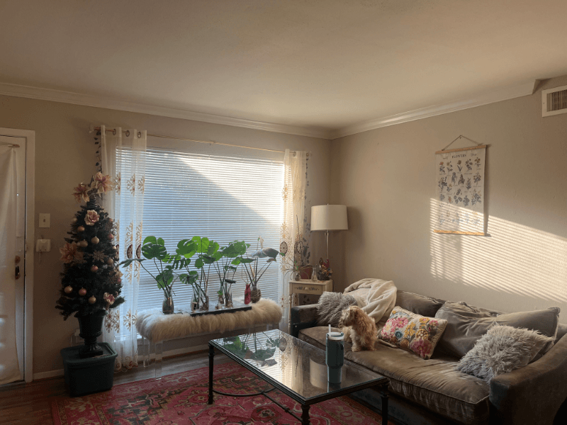 houston Apartment: 1414 Castle Court