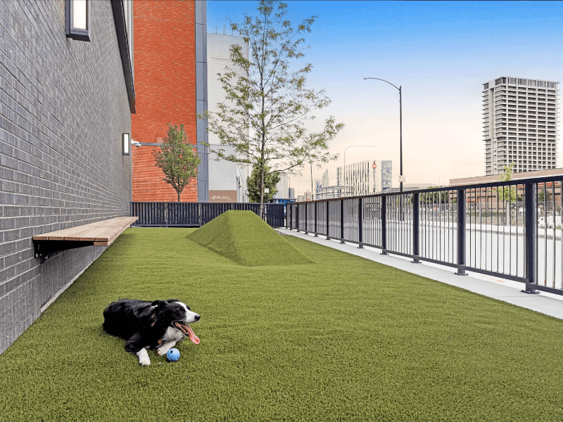 Chicago Condo: 1059 W Van Buren