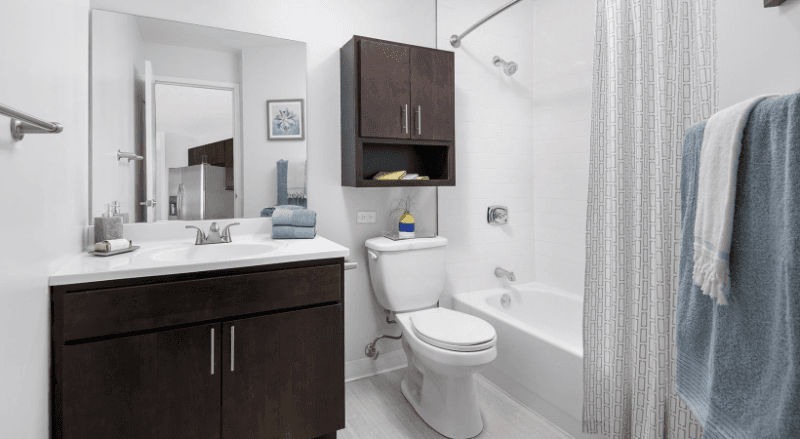 Chicago Condo: 5 West Chestnut St