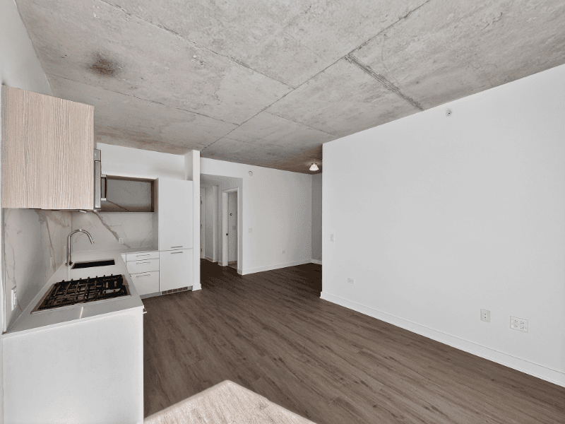 Chicago Condo: 167 N Desplaines St
