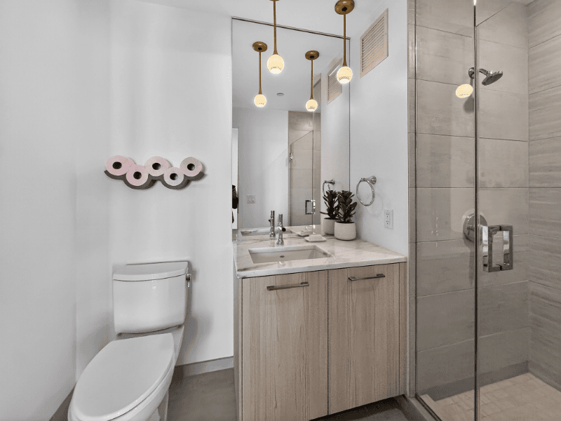 Chicago Condo: 167 N Desplaines St