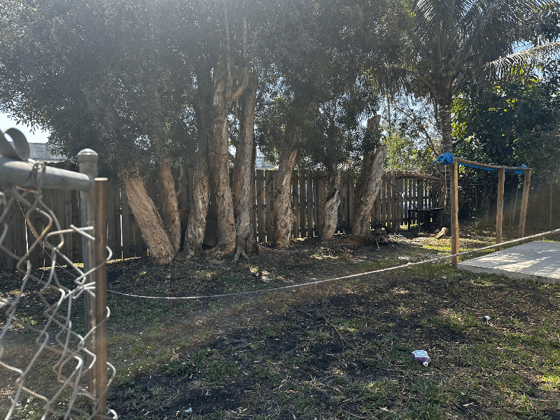 Sunrise House: 6500 nw 20th ct.
