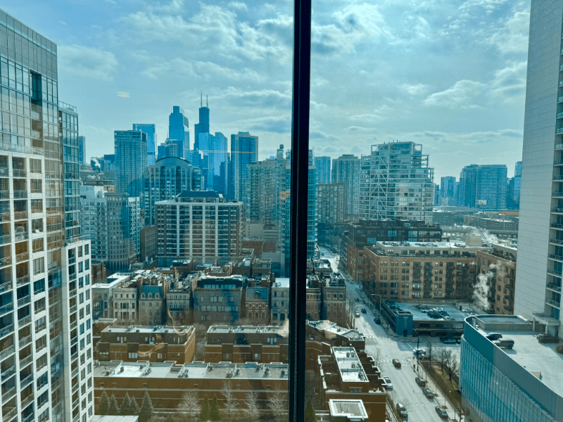 Chicago Multiplex: 461 W Chicago