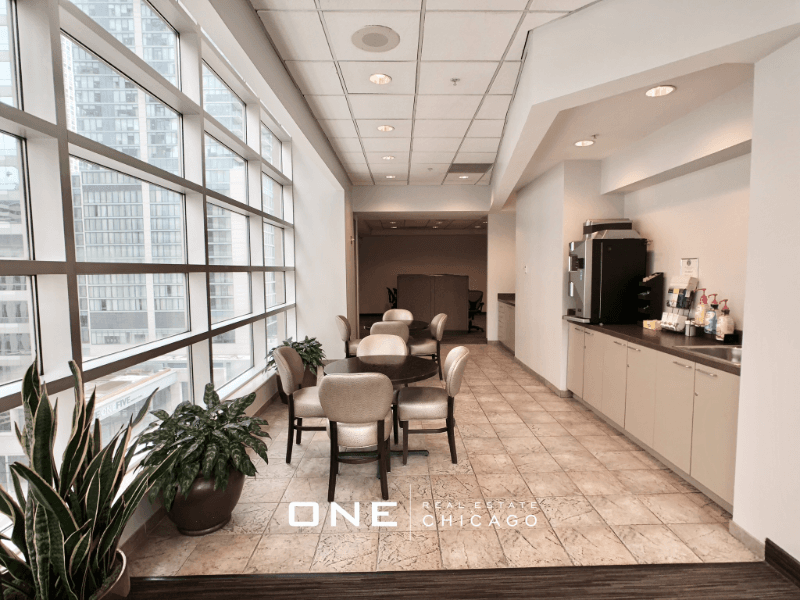 Chicago Apartment: 525 N State