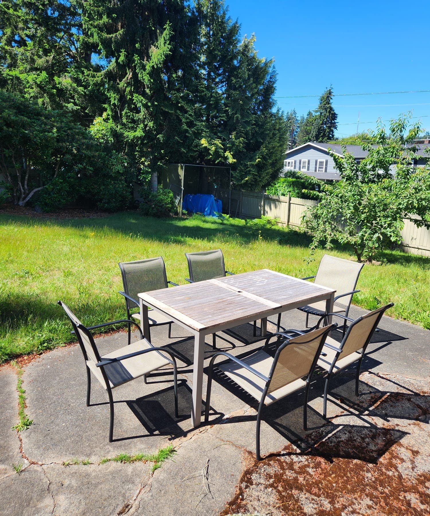 Shoreline Single Room: 1803 North 200th Street