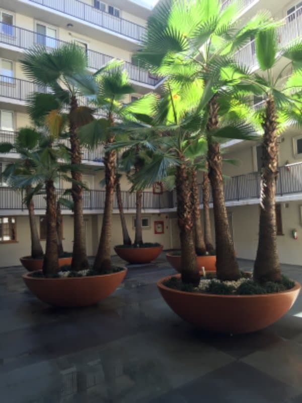 Los Angeles Apartment: 7100 Hillside Ave