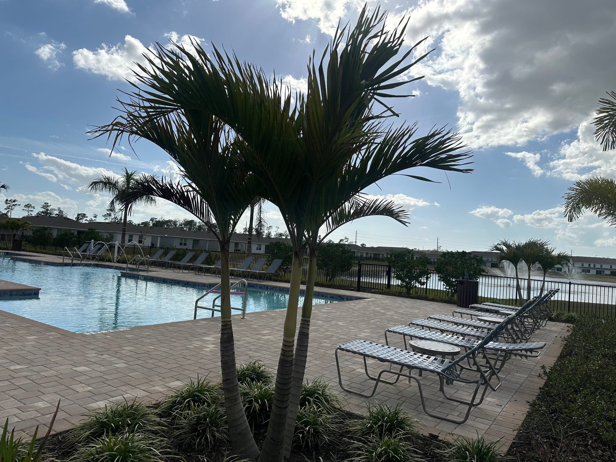Lehigh Acres Single Room: 8417 Everly Preserve Dr