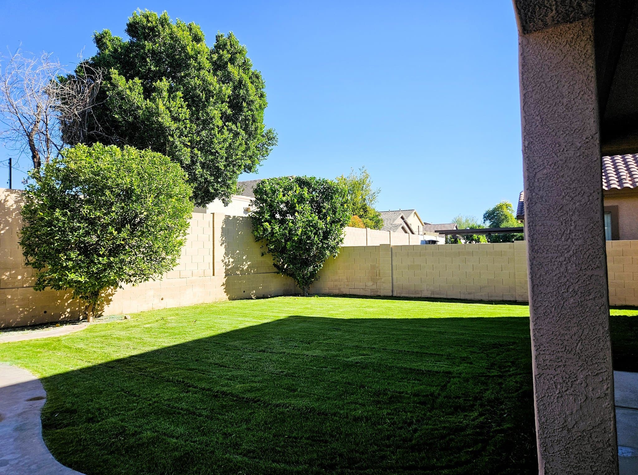 Phoenix Single Room: 2320 W Forest Pleasant Place