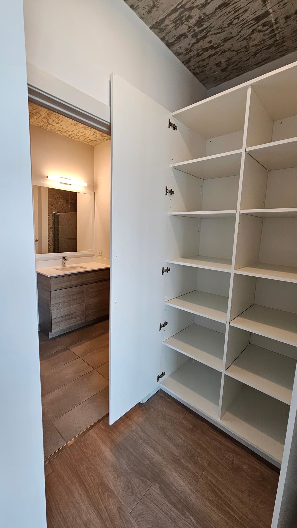 Chicago Condo: 816 N. Wells