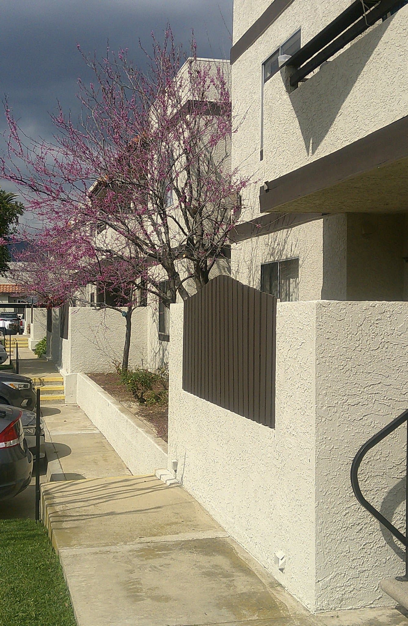 Covina Apartment: 19550 E Cienega Ave