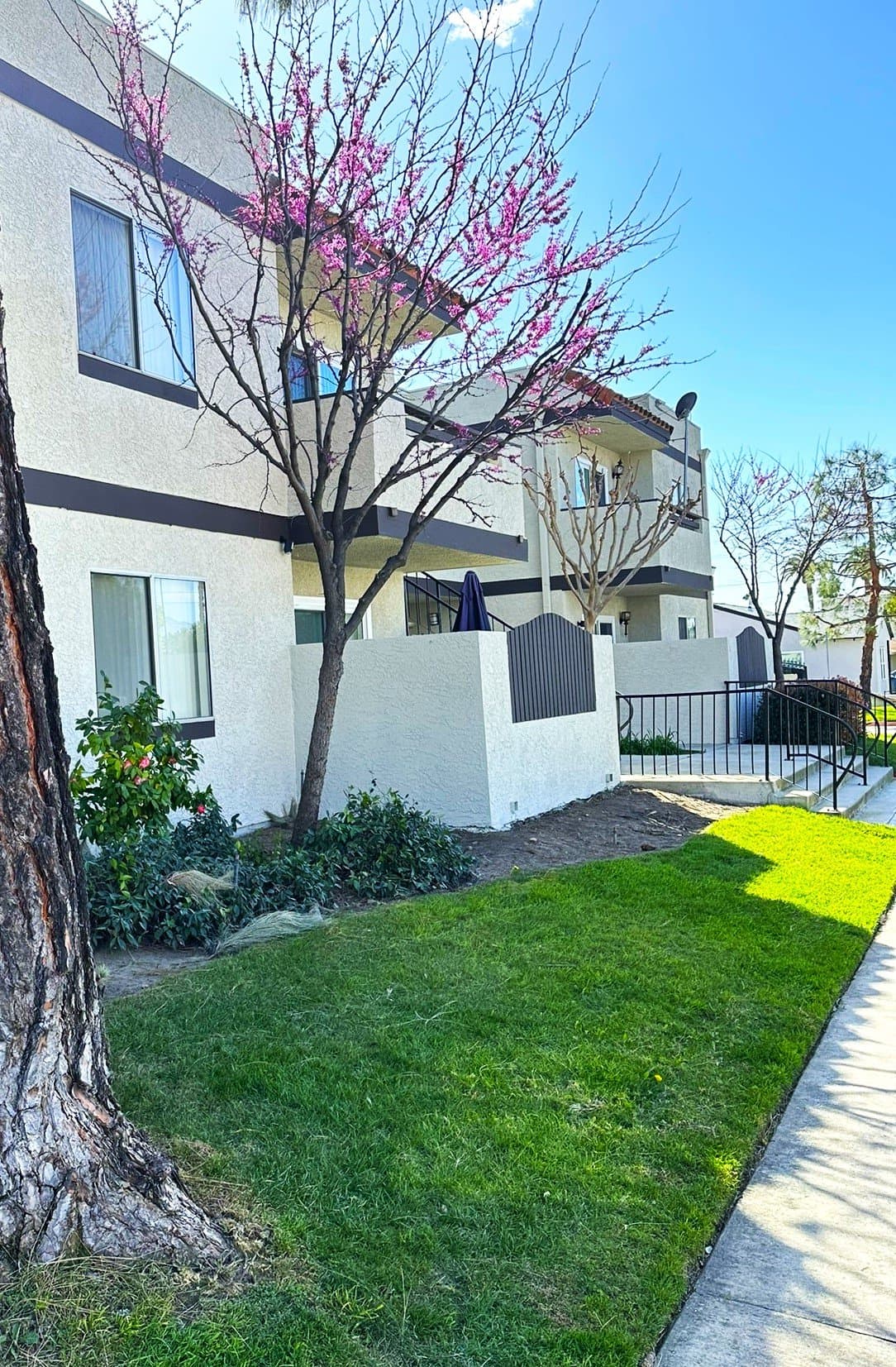 Covina Apartment: 19550 E Cienega Ave