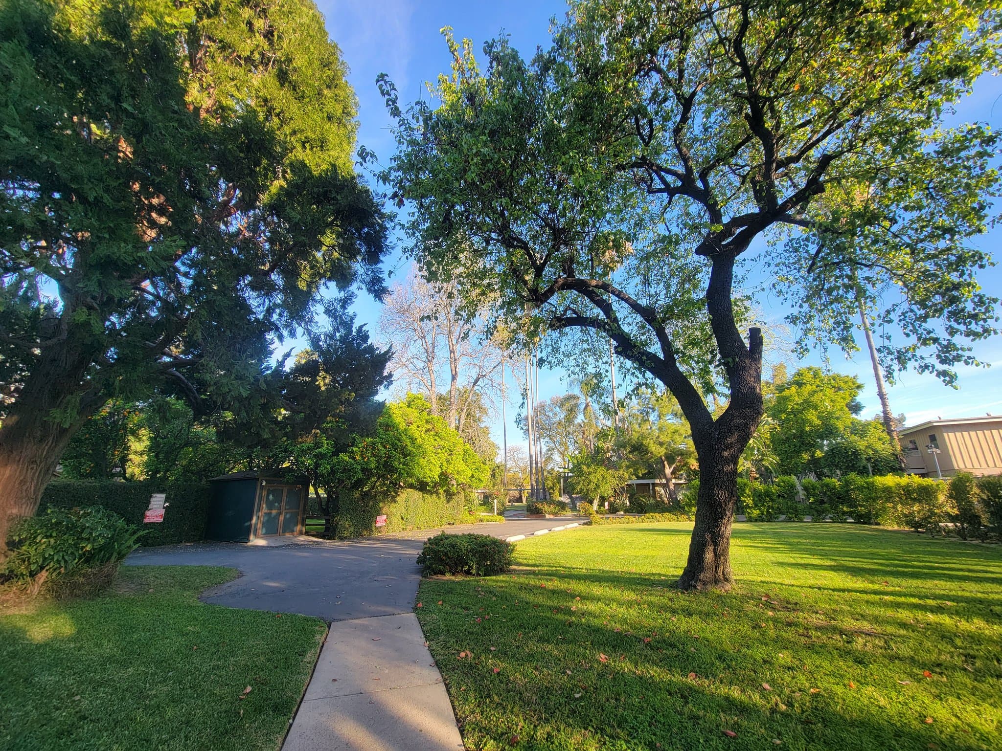 Van Nuys Multiplex: 13626 1/2 Leadwell St