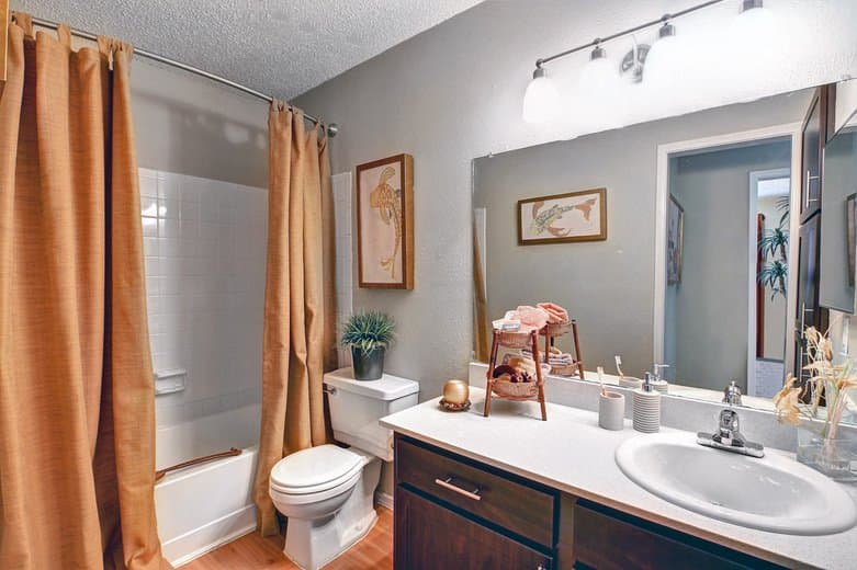 Austin Apartment: 2015 Cedar Bend dr