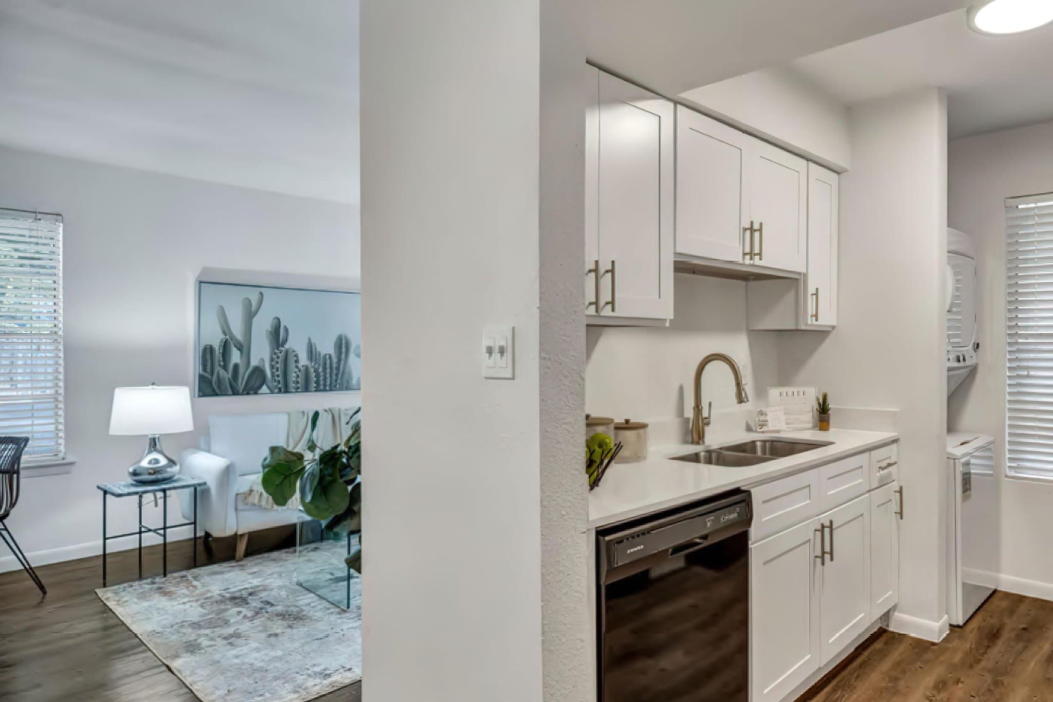 austin Apartment: 1735 Rutland dr