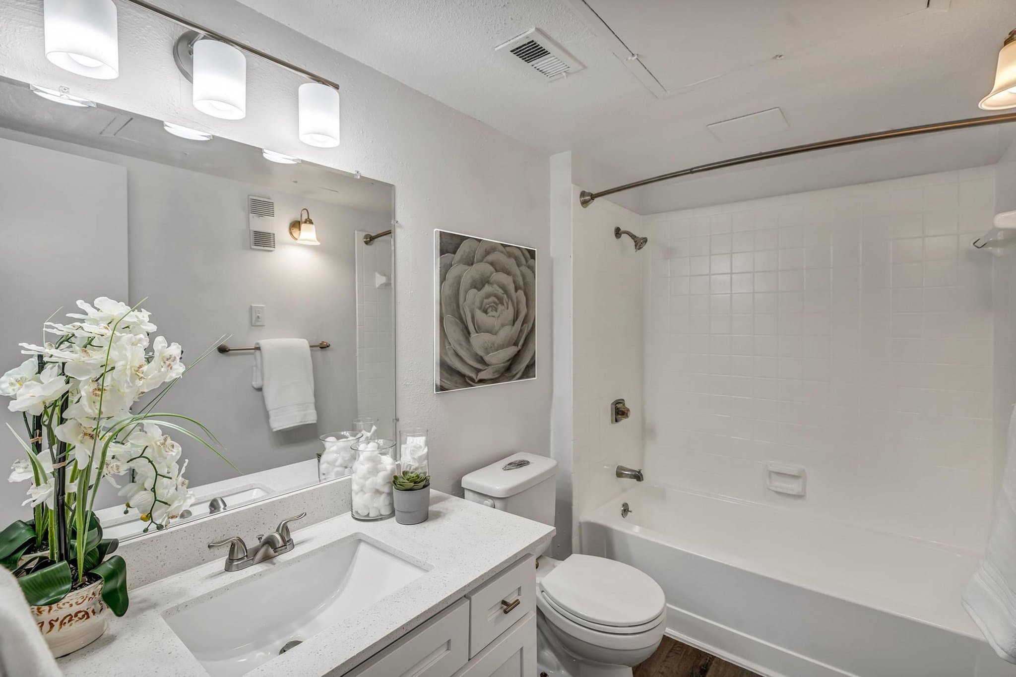 austin Apartment: 1735 Rutland dr
