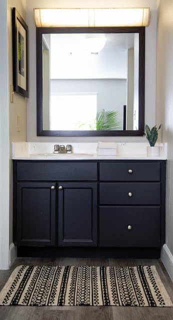 austin Apartment: 2700 gracy farms ln