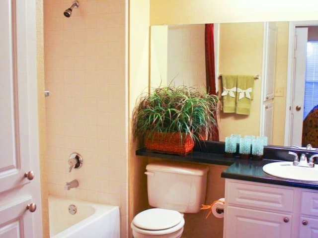 austin Apartment: 11500 Jollyville rd