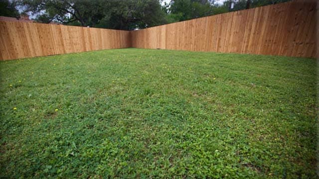 austin Multiplex: 11600 Argonne Forest Trail