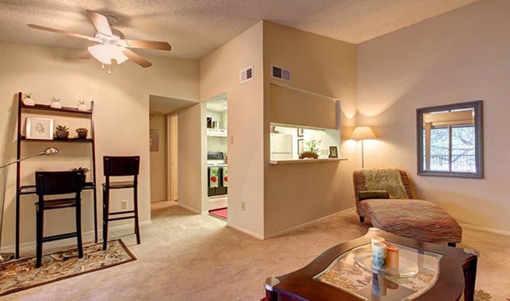 austin Apartment: 3600 Greystone Dr.