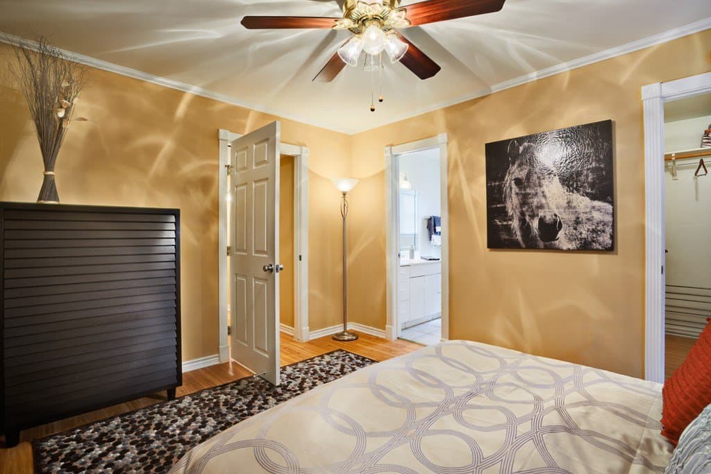 austin Apartment: 3605 Steck ave