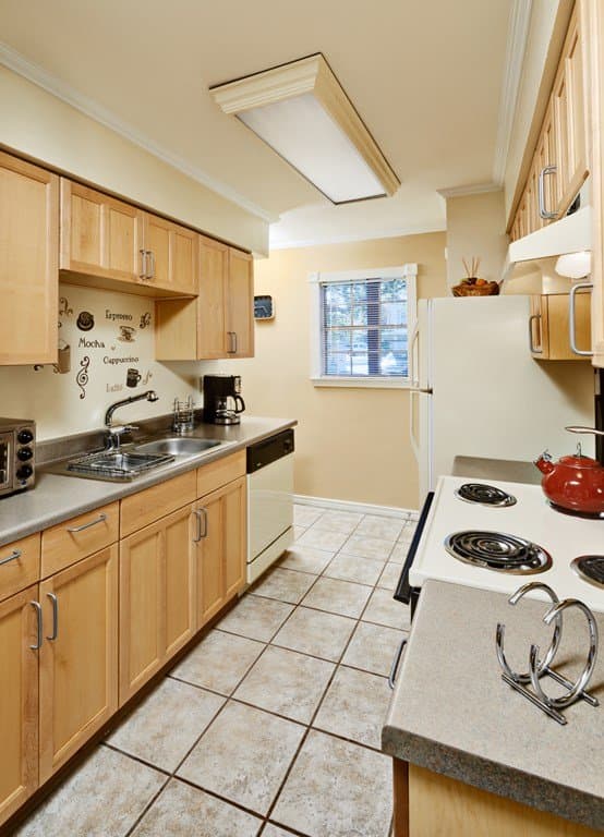 austin Apartment: 3605 Steck ave