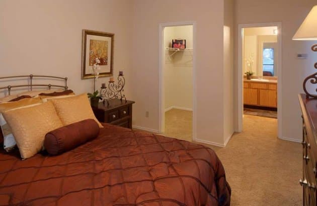 austin Apartment: 11316 Jollyville Rd