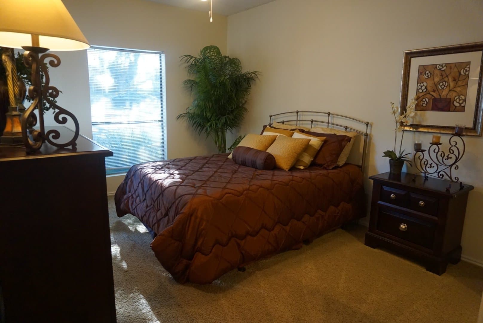 austin Apartment: 11316 Jollyville Rd