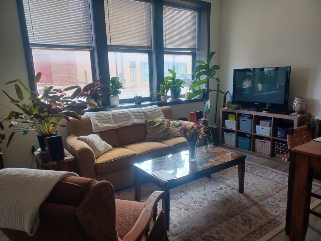 SPRINGFIELD Apartment: 309 S Jefferson Ave
