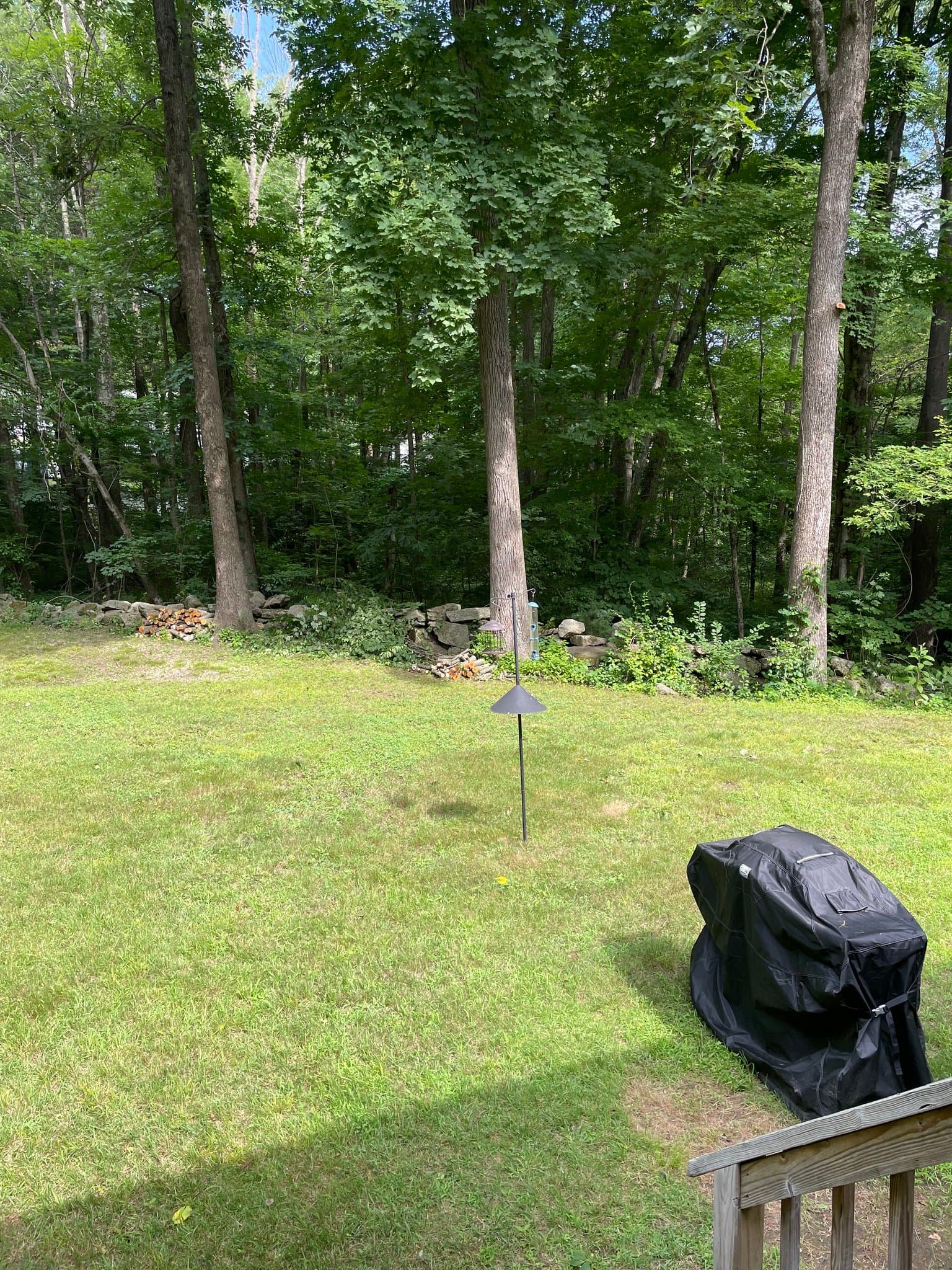 Northbridge Single Room: 517 Benson Rd