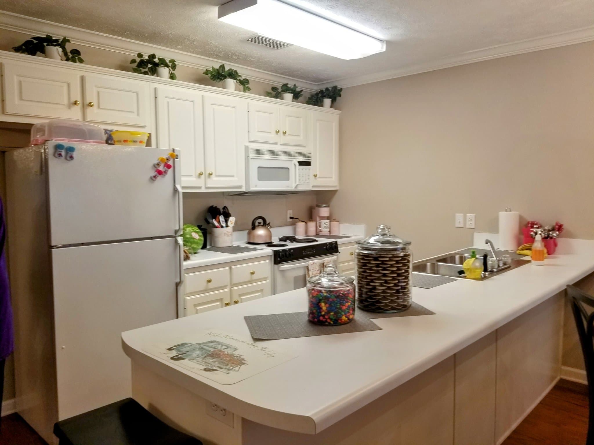 Starkville Condo: 1064 N Montgomery St