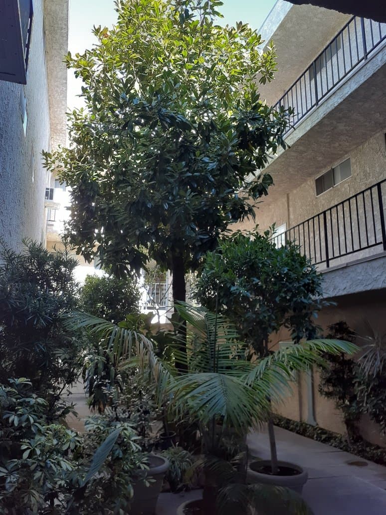 Van Nuys Apartment: 15340 Vanowen St