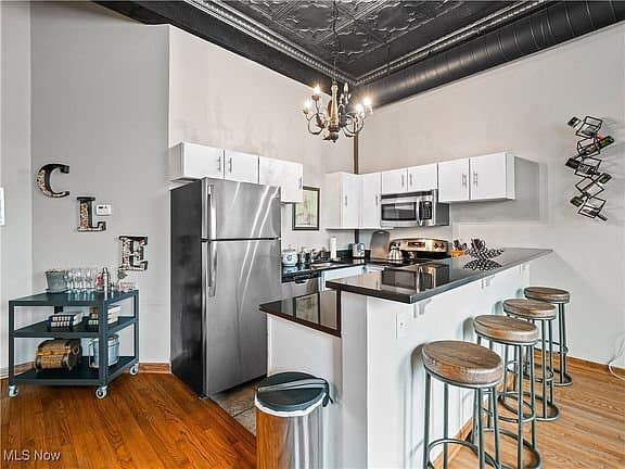 Cleveland Apartment: 408 W Saint Clair Ave