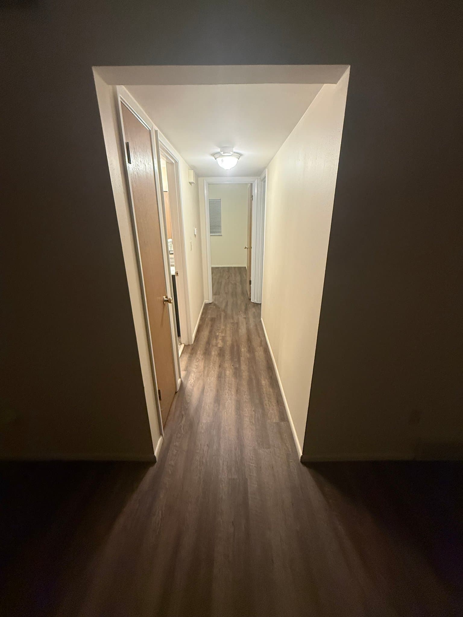 St. Louis Apartment: 5401 Eichelberger 2D