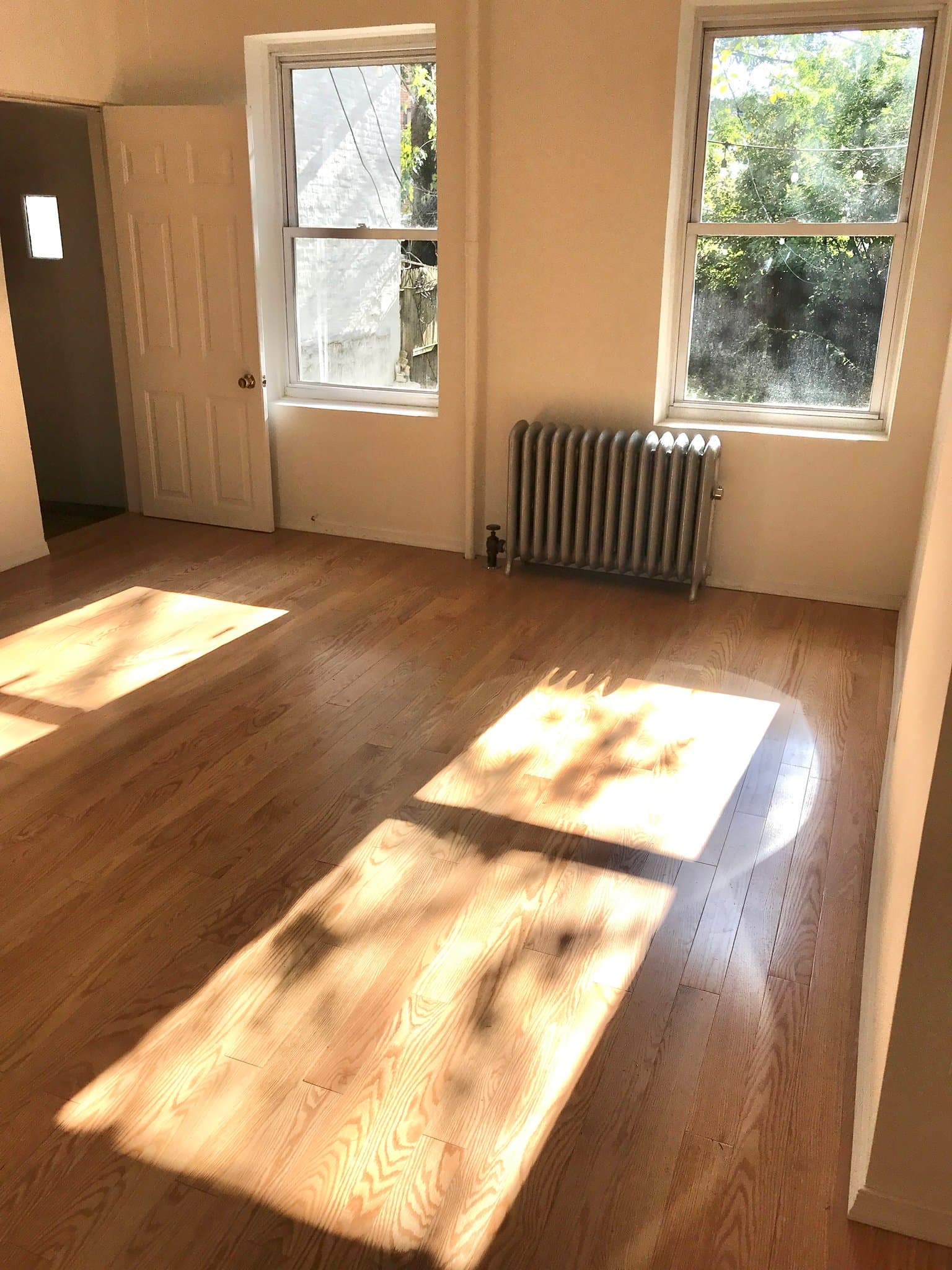 Brooklyn Multiplex: 196 W9th Street