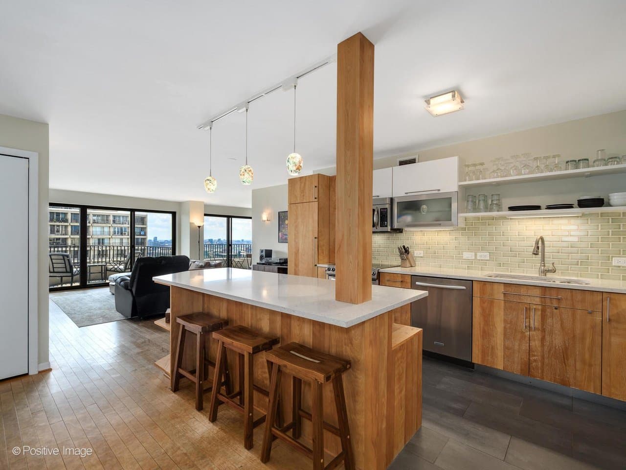 Chicago Condo: 2020 N Lincoln Park West
