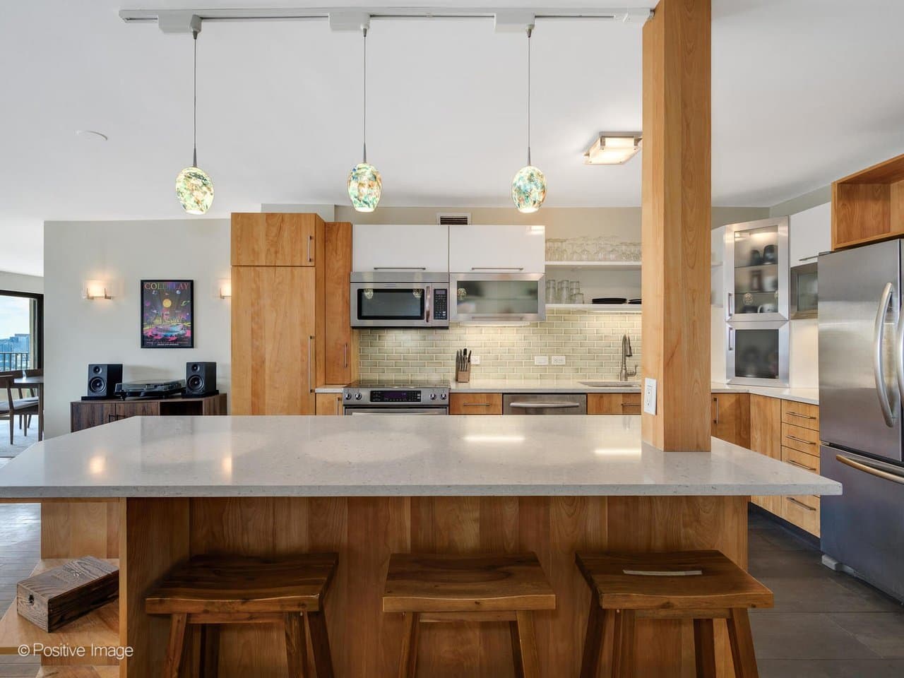 Chicago Condo: 2020 N Lincoln Park West