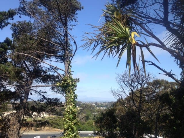 San Pablo Apartment: 5409 Morrow Drive