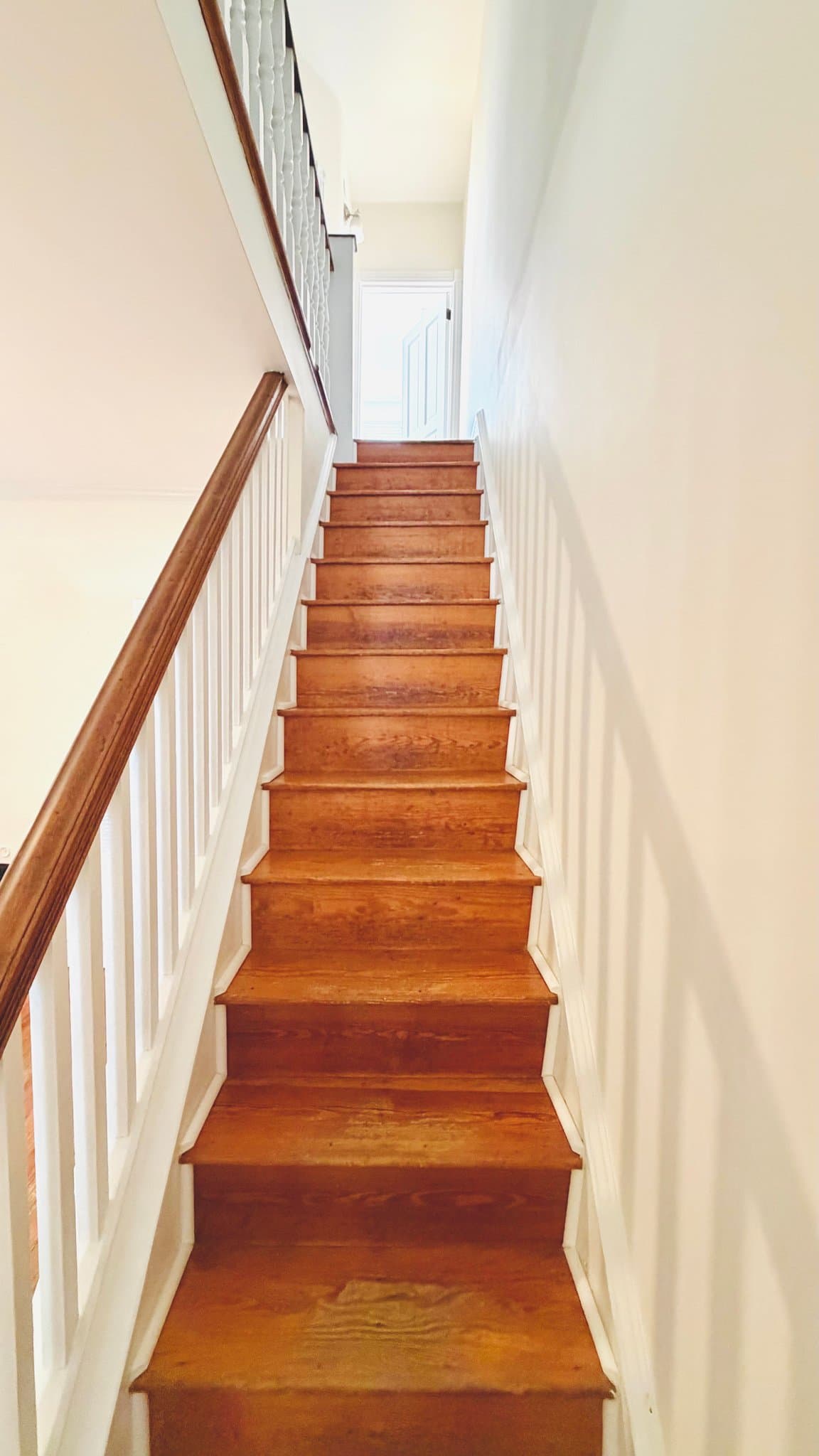 West Mount Airy Townhome: 7136 Bryan St