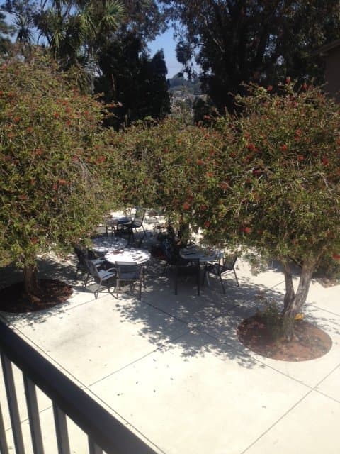 San Pablo Apartment: 5407 Morrow Drive