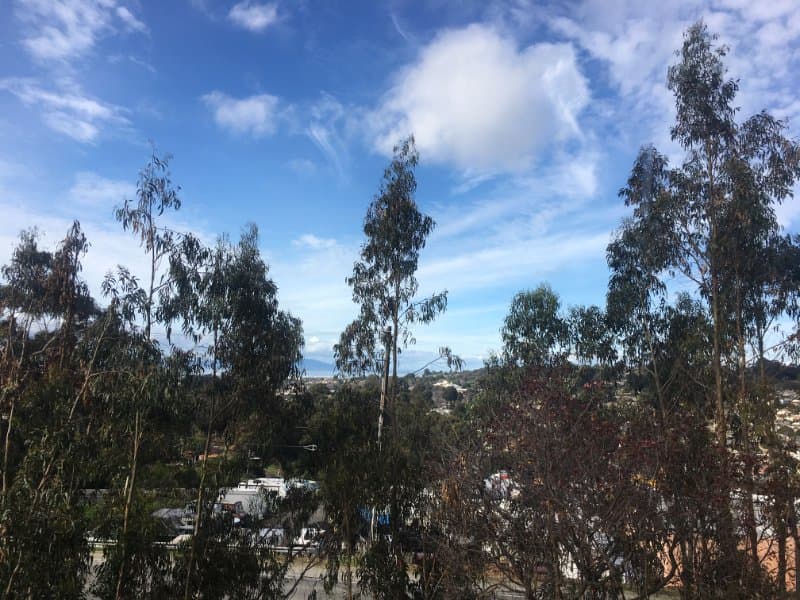 San Pablo Apartment: 5407 Morrow Drive