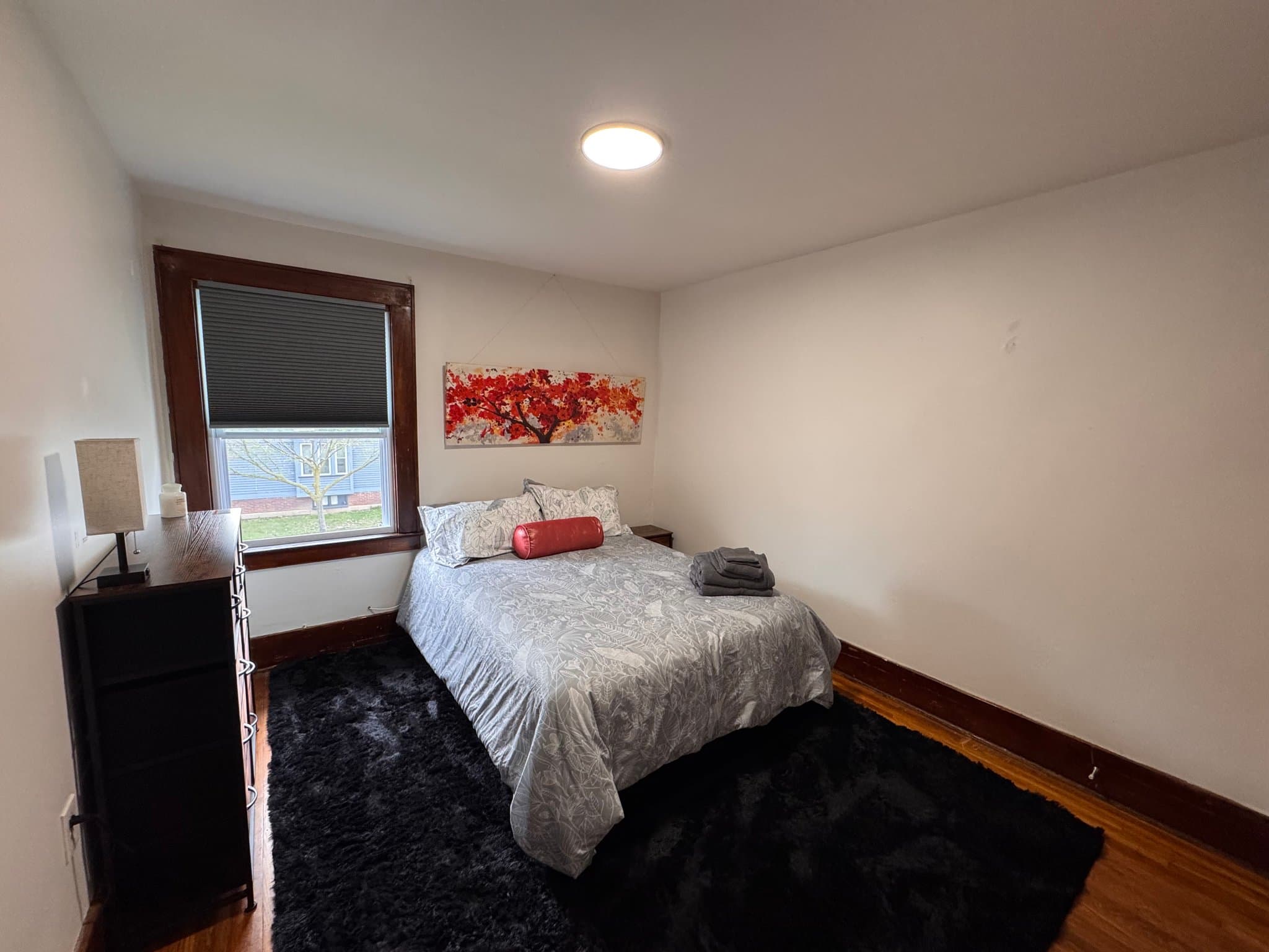 Rochester Single Room: 186 Spruce Ave