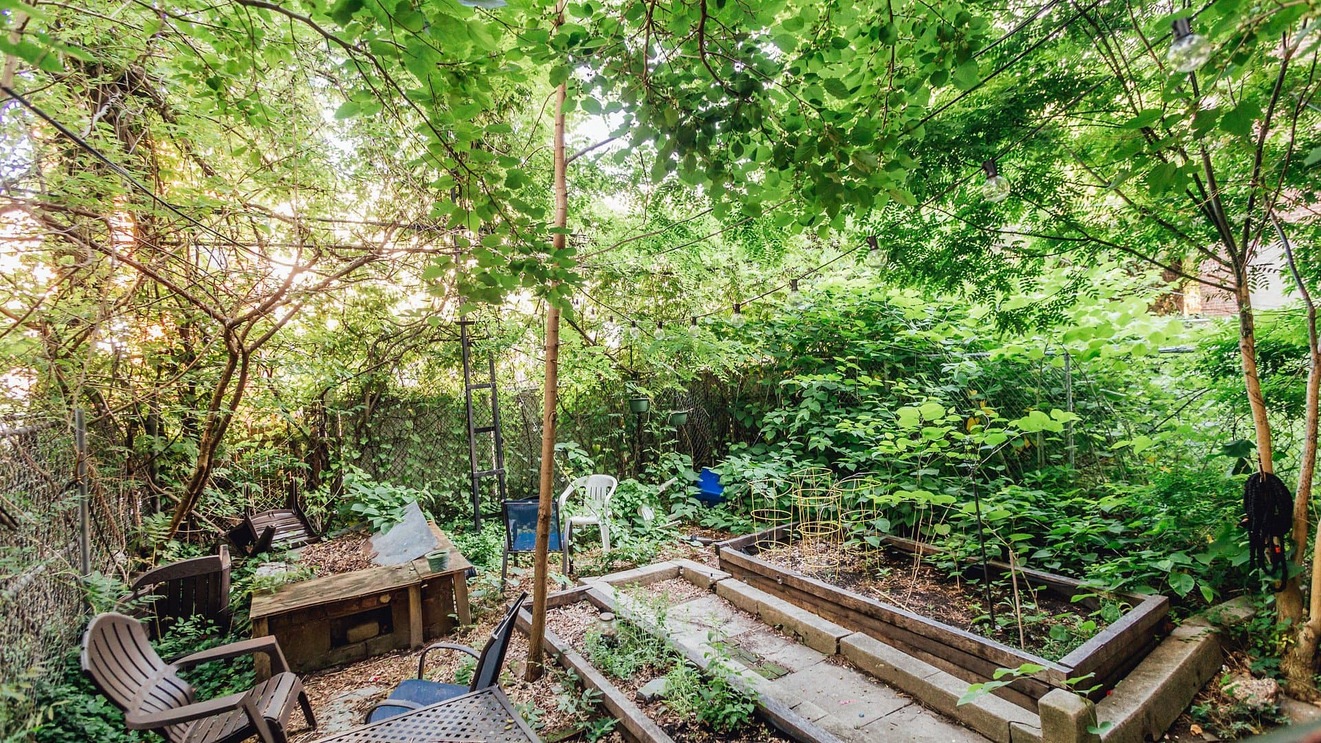 brooklyn Apartment: 1154 Gates Ave