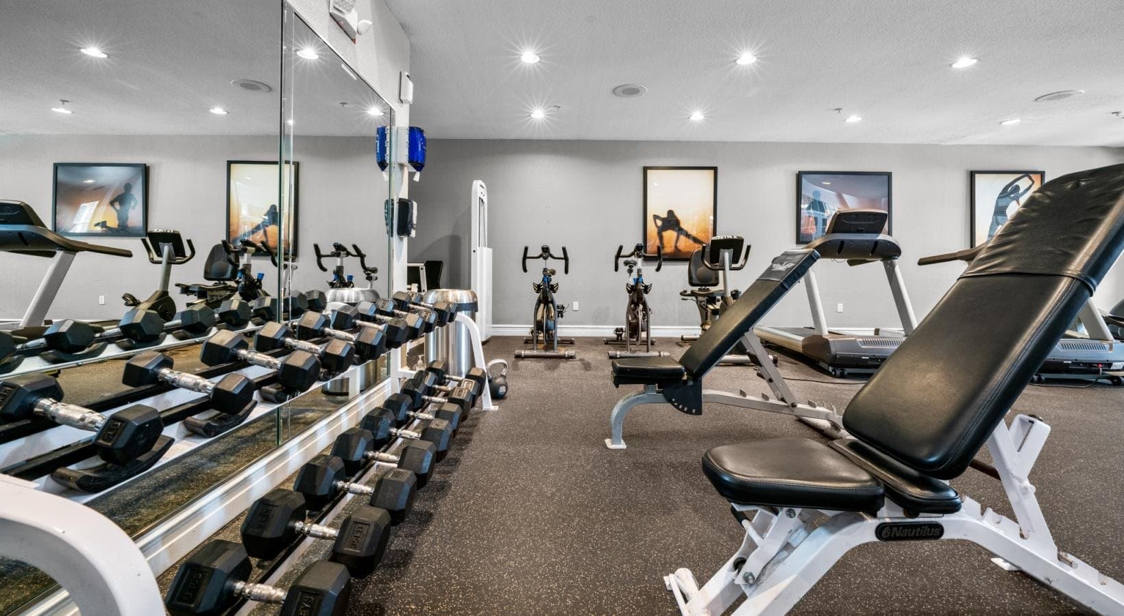 Dallas Apartment: 5720 Forest Park Road