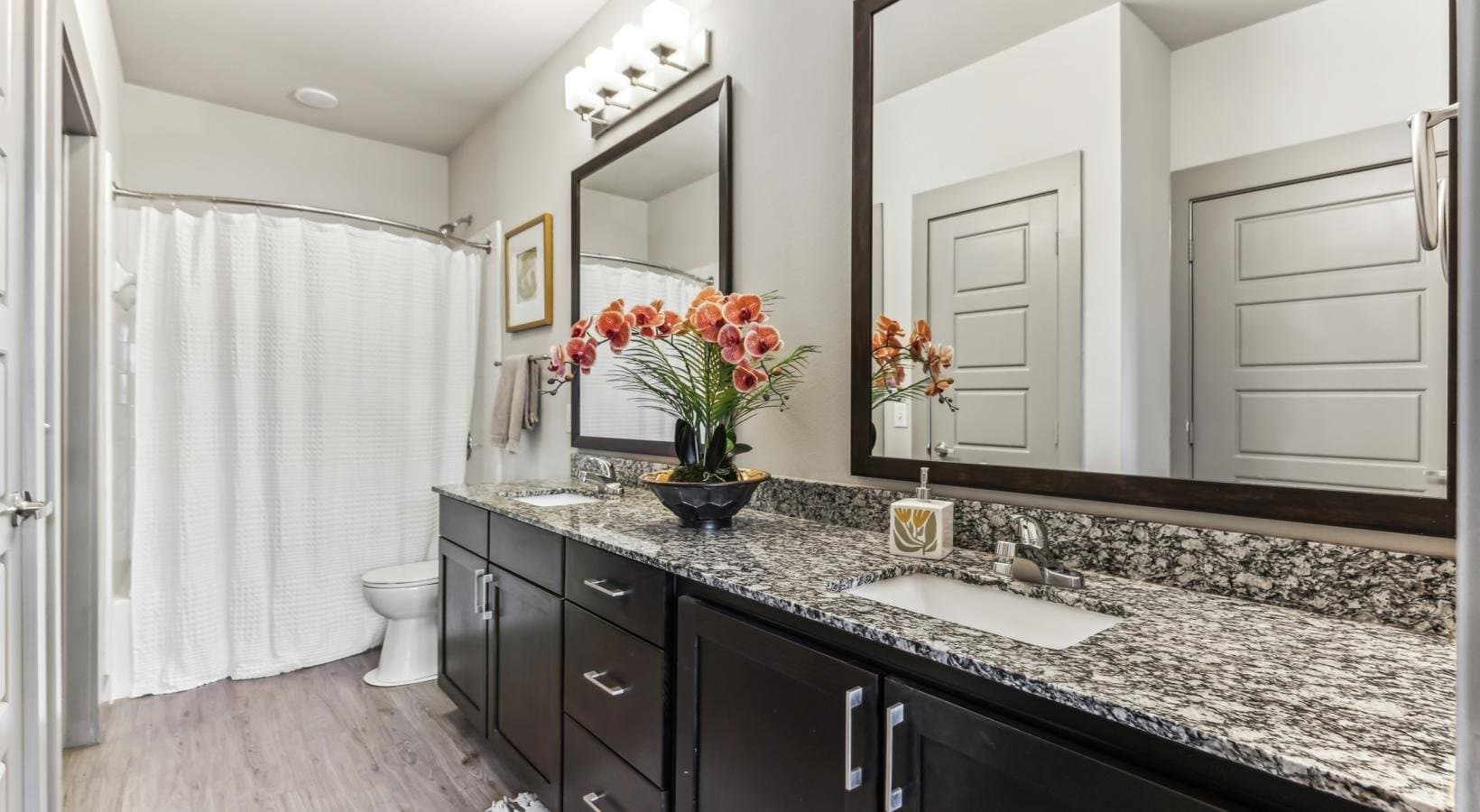 Dallas Apartment: 8169 Midtown Blvd