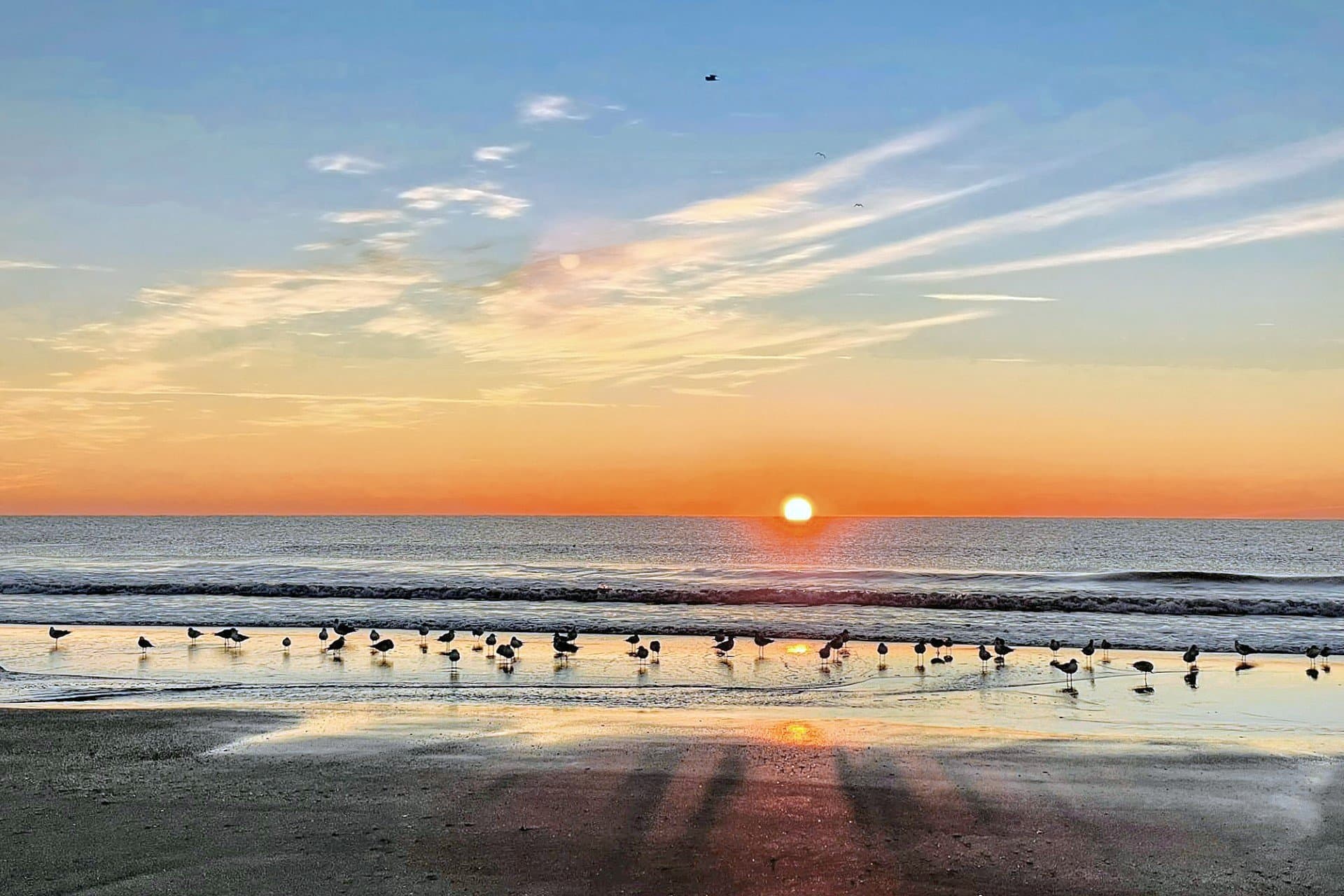Myrtle Beach Condo: 6804 N. Ocean Blvd