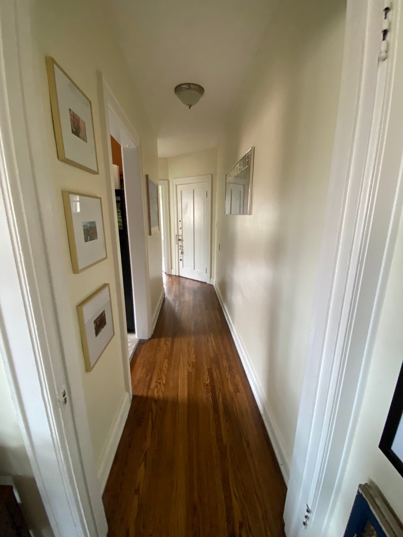 Cincinnati Apartment: 925 Nassau St