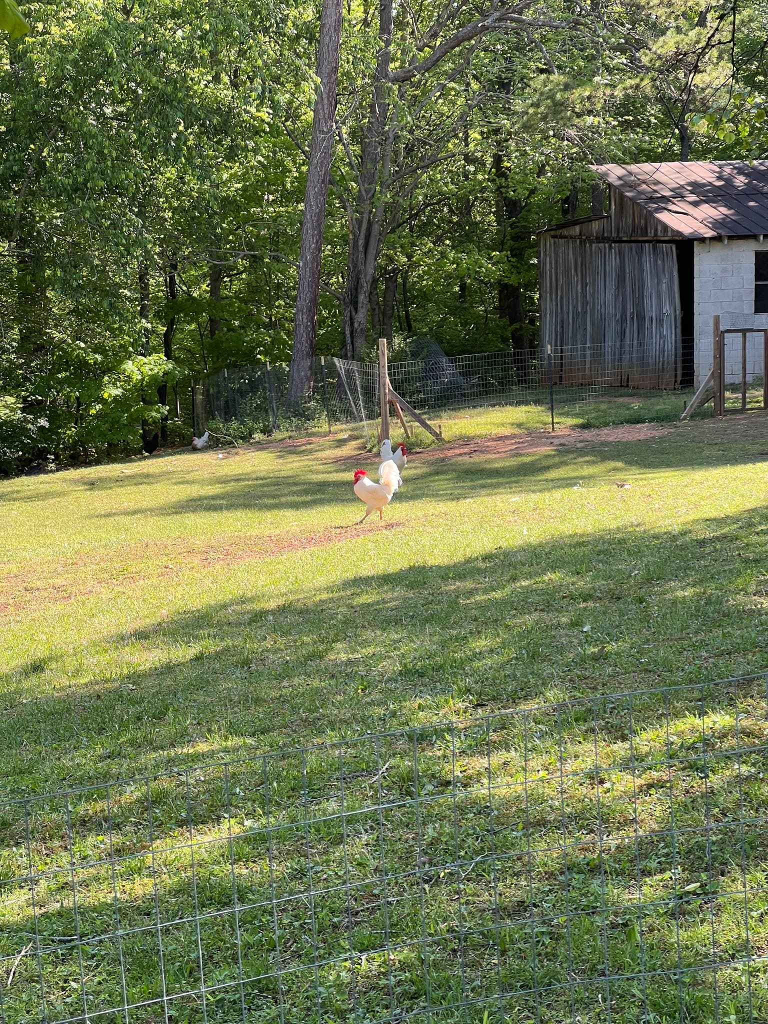 Knoxville House: 7911 Micah Drive