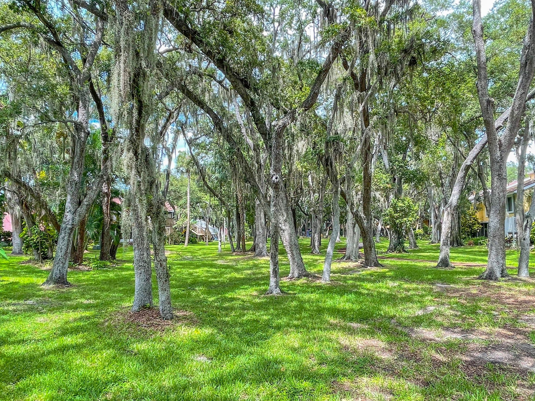 Saint Petersburg Condo: 3620 41st way S